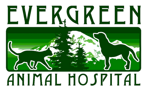 Evergreen Animal Hospital